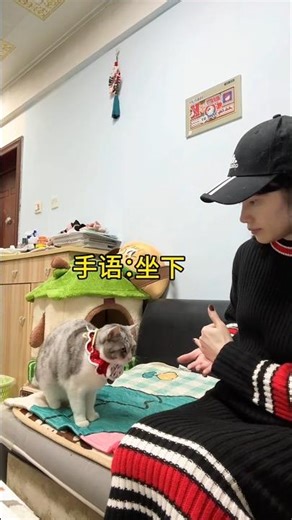 Sign Language Lesson VS Dancing Cat
