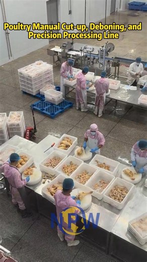 A poultry manual processing line refers to a production line that, after automated slaughtering, plucking, eviscerating, and pre-cooling, primarily relies on manual operation, supplemented by mechanized conveying and specialized tools, to cut the whole poultry carcass into different parts (such as breast meat, legs, wings, and skeleton). This model offers flexible investment and strong adaptability, making it particularly suitable for small and medium-sized processing plants or central kitchens 