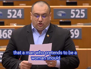 In what sane society would Mike Tyson be allowed to box in the female category because he "self - identifies" as " #trans " asks @CristianTerhes @TheCountessIE @IrexitFreedom @NWCI Gender theory is dangerous nonsense | Irish Freedom Party