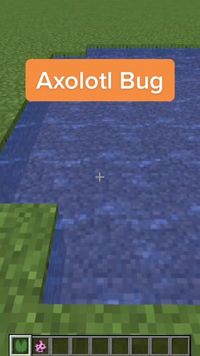Minecraft Axolotl Spinning Glitch Explained