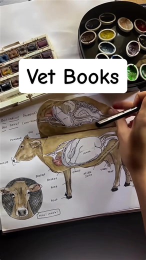 Essential Books for Aspiring Veterinarians