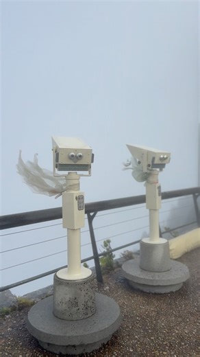 This morning was 5 degrees, yesterday was 2.6 degrees Celsius windchill on-top of #TableMountain in the middle of summer ☀️ Not a soul in sight. It’s a ghost town up there 😅 on days with a gale force winds. Still beautiful but not everyone’s cup of tea! There’s no such thing as bad weather, just bad gear 🤭 #hiking #7wondersofnature | Table Mountain Experience