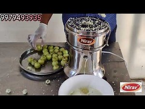 stainless steel carrot juicer for home use / Amla juicer machine / vegetable juicer /fruit juicer