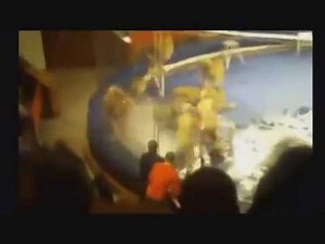 Unbelievable Top 10 Lion attacks on human [ HQ ]