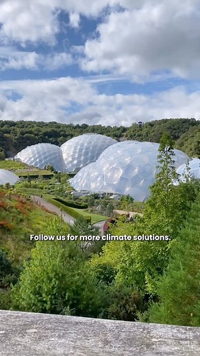GreenArchitectureNow | Nature has been fine tuning these structures for billions of years, so let’s stop building square concrete blocks and start using nature as... | Instagram