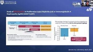 Kidney Week 2023 Insights: New Horizons - Considering the Evolving Therapeutic Landscape for IgA Nephropathy