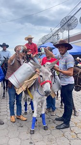 De la pichinga a sus manos 🍻✨ #hipico #juigalpa #chontales #nicaragua | 𝙈𝙤𝙣𝙩𝙚𝙡𝙞𝙢𝙖𝙧 𝘼𝙜𝙚𝙣𝙘𝙞𝙖 𝘼𝙪𝙩𝙤𝙧𝙞𝙯𝙖𝙙𝙖/𝙋𝙪𝙗𝙡𝙞𝙨𝙚𝙧