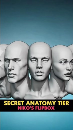 3 Incredible Anatomy Tutorials for Blender by SpeedChar for only $5 #blendercourse #blender