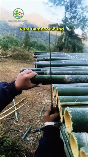 Fast Bamboo Sawing ASMR | Survival Skills #shorts