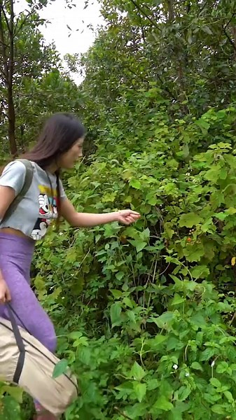 Essential Bushcraft Shelter Tips for Camping Adventures