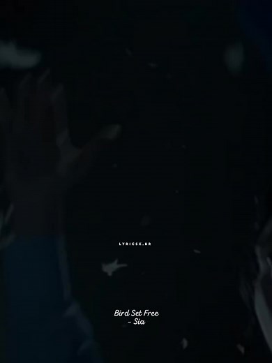 Bird Set Free - Sia | Lyrics and Translation