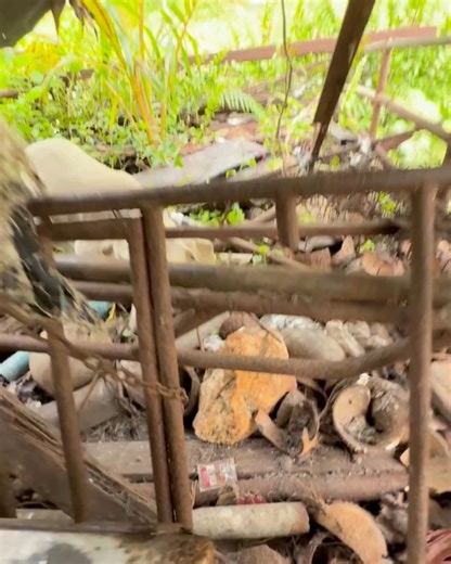 5.5K views · 165 reactions | Happy Doggo on Reels | Facebook