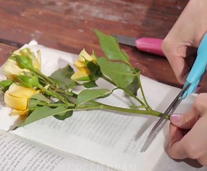 27K views · 93 reactions | Beautiful handmade candle ideas! | Green Bean | Facebook