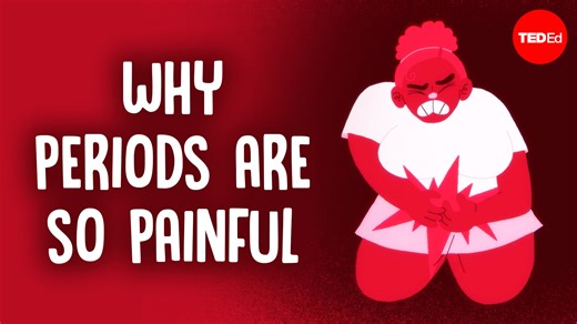 Why do menstrual cramps hurt so much? Dig into the science of what makes period cramps so painful, and find out what we still don’t know about this common experience: | TED-Ed