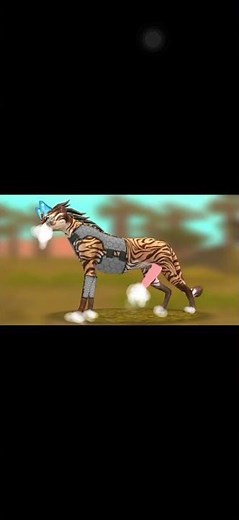 Cheetah dih!! II WILDCRAFT HEAT II TAKING REQUESTS #wildcraftheat #wildcraft #heat