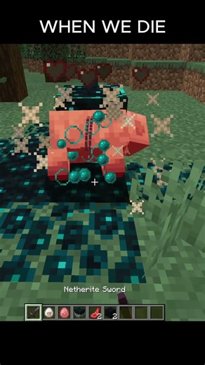 I DONT KNOW #minecraft #gaming #minecraftjava