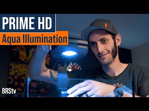 So Popular. So Compact. So Affordable. AI Prime 16HD Spotlight, Unboxing and Review.