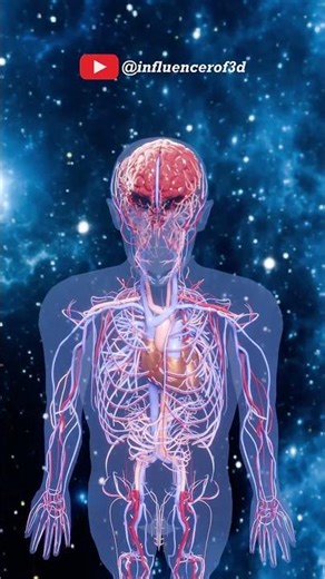 Human Body vs Space 😱.. (3D) Animation #short