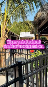 Check out this new tiki bar and seafood restaurant in Maryland! 📍Natalie’s Seafood Kitchen (2315 Belair Rd, Fallston, MD) #eatmorebemore #dmvfoodies #tikibar #seafoodlover #baltimorefood | Eatmorebemore