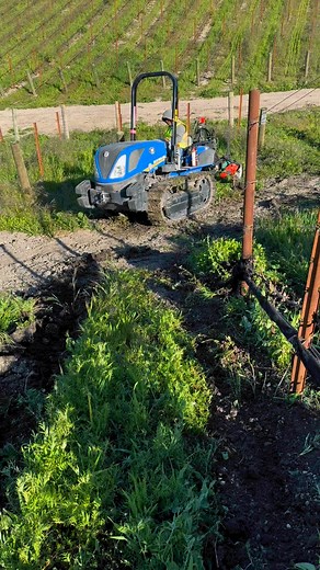 60K views · 363 reactions | Feliz martes desde Paso Robles | Martínez Farming | Facebook