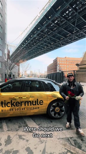 #stickermule #fyp #stickers #fun #foryoupage