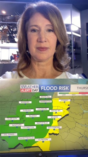 25K views · 382 reactions | ￼￼Another WRAL weather alert day. A chance of isolated flooding mainly this afternoon. | WRAL Elizabeth Gardner | Facebook