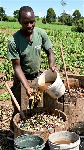 This is how biofertilizer is produced step by step in an agricultural environment #farming #shorts