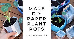 Two Ways to Make Newspaper Plant Pots: the Quick Way and the Origami Method