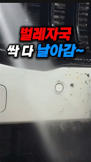 Stop Wiping Bug Splatter Off Your Front Bumper with Wet Wipes