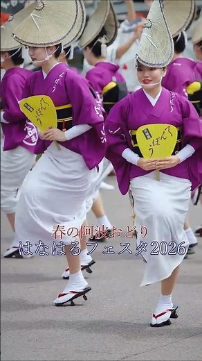 [Awa Odori 2026] Spring Awa Odori - Tenpo Ren