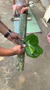 Traditional Betel Leaf Box Making at Home | Bamboo Craft 🌿🧺#amazing