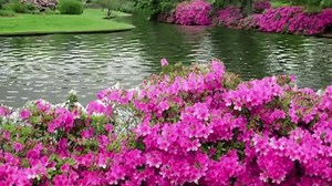 6.9K views · 198 reactions | Dixie Chicks - "Wide Open Spaces" | Melodies and Memories | Facebook