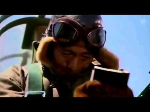 【桜ひとひら】ゼロ戦