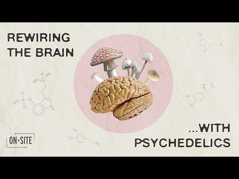 The Magic of Mushroom Therapy | ONsite