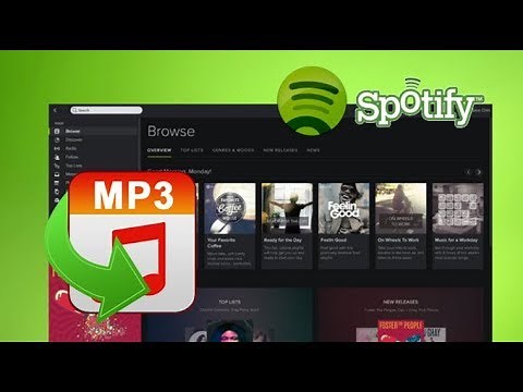 how to download music & playlist from Spotify To .mp3