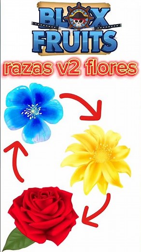 🔴How to Find the 3 Flowers to Make Races v2 in Blox Fruits | Flower Location Guide 2024 😁