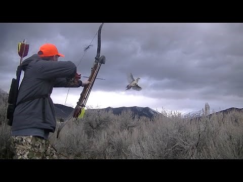 Pheasant Hunt with Recurve Bow