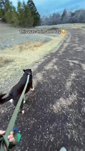 Extreme Wind Storm Hits Black Hills, South Dakota