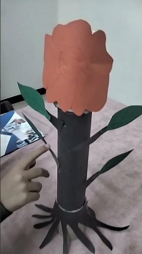 The Parts of the plant 🌹☘️🌵