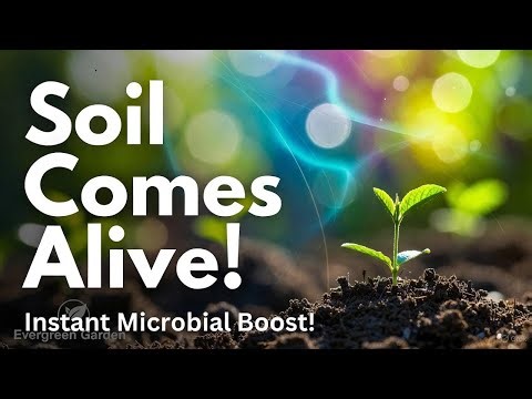 Humus Hack for Instant Soil Revival – Make Your Garden Explode with Life