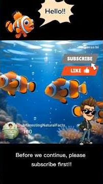Do you know Nemo Fish #facts #animals #nemo #fish #trending #shorts #animal #animalcute #fishlovers