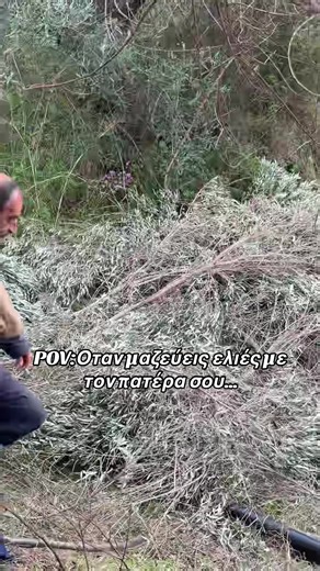 #fyp #viral #lakwnia #father #fyp @Dimitris_Stathakis