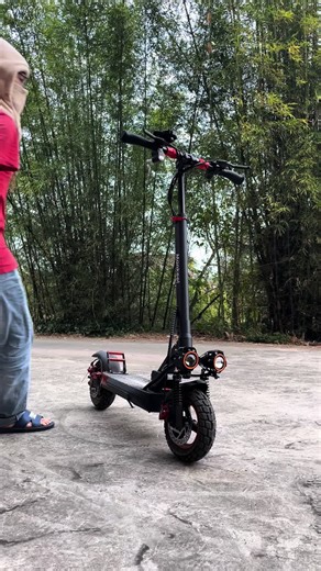Electric scooter