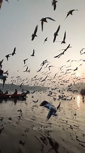 9.4K views · 263 reactions | Sunday Motivation Mantra by MJ Sir | Vidhik Shiksha | Facebook