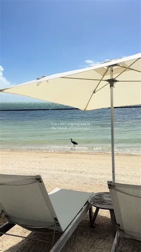 Spring Break Getaway at The Islands of Islamorada