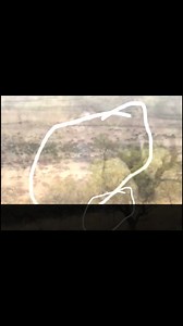 1.6M views · 7K reactions | 樂 possible half entity captured in nature photo!?!?!?!?#scaryvideos #paranormalactivity #ghostphoto #urbanlegends | Disbelief Paranormal Official | Facebook