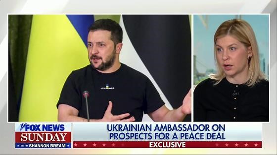 Ukrainian ambassador shares update on Russia-Ukraine peace deal negotiations