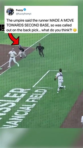 what was the umpire thinking... 😒