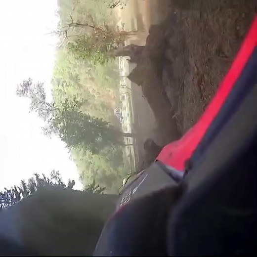 World Rally Championship on TikTok