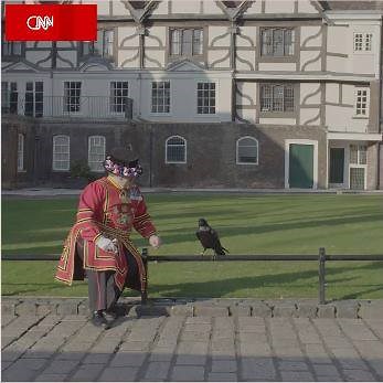 200K views · 1.8K reactions | Meet the Tower of London's Ravenmaster,...